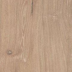 Cielden Chest of Drawers - All Brands Furniture (NJ)