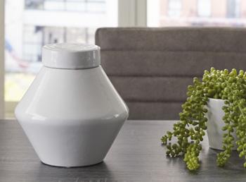 Domina Jar (Set of 2) - All Brands Furniture (NJ)