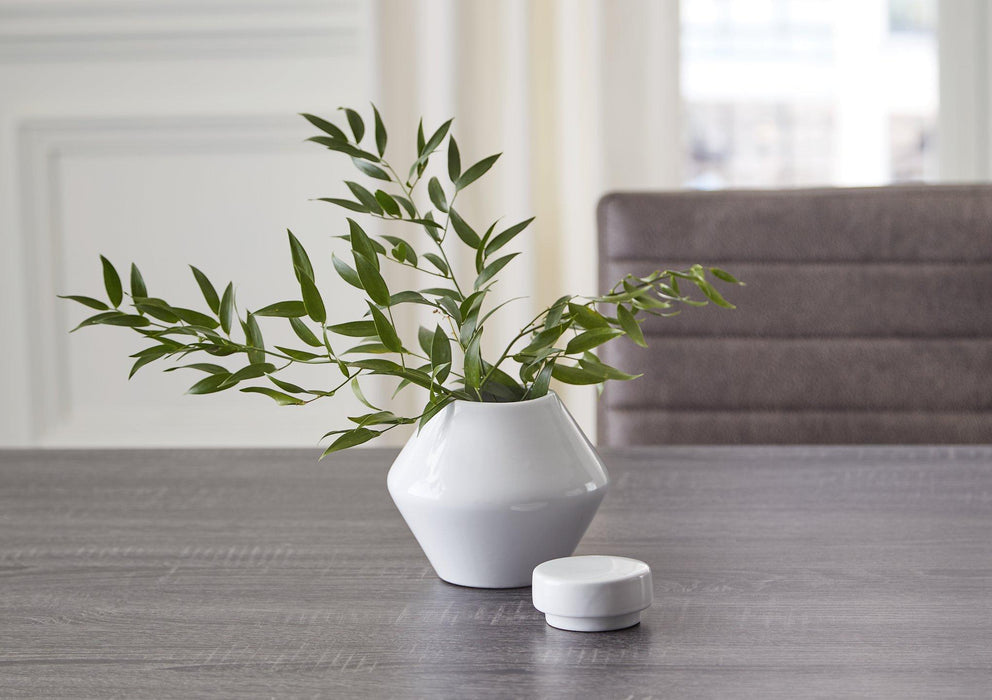 Domina Jar (Set of 2) - All Brands Furniture (NJ)