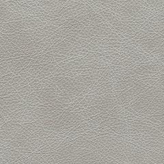 Amiata Upholstery Package - All Brands Furniture (NJ)