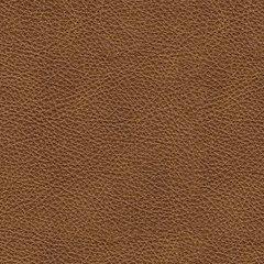 Emilia Living Room Set - All Brands Furniture (NJ)