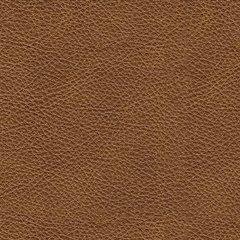 Carianna Sofa - All Brands Furniture (NJ)