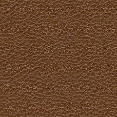 Healy Pier Power Reclining Sofa - All Brands Furniture (NJ)