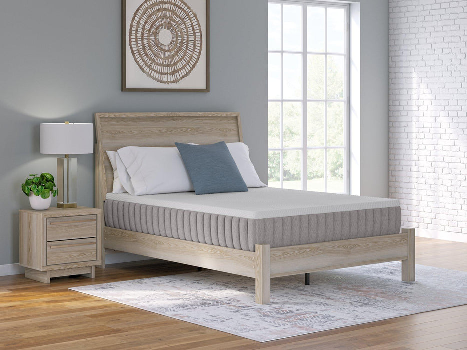 Terra Sleep Firm Mattress - All Brands Furniture (NJ)