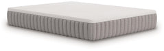 Terra Sleep Firm Mattress - All Brands Furniture (NJ)
