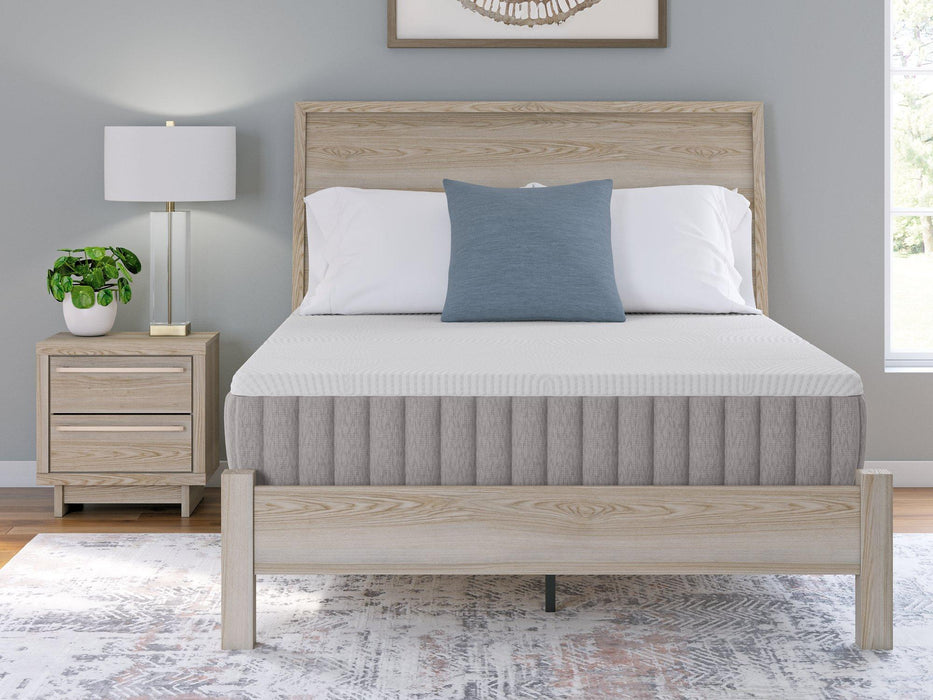 Terra Sleep Firm Mattress - All Brands Furniture (NJ)