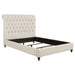Devon Queen Beds - All Brands Furniture (NJ)
