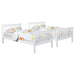Chapman Bunk Beds - All Brands Furniture (NJ)
