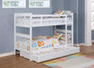 Chapman Bunk Beds - All Brands Furniture (NJ)