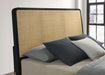 Arini Panel Bed - All Brands Furniture (NJ)