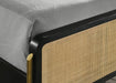 Arini Panel Bed - All Brands Furniture (NJ)