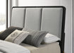 Arini Panel Bed - All Brands Furniture (NJ)