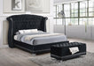 Barzini Tufted Upholstered Bed Black - All Brands Furniture (NJ)