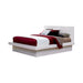 Jessica California King, E.king, & Queen Bed with Storage Headboard Cappuccino - All Brands Furniture (NJ)