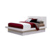 Jessica California King, E.king, & Queen Bed with Storage Headboard Cappuccino - All Brands Furniture (NJ)
