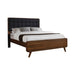 Robyn California King, E.King, & Queen Bed with Upholstered Headboard Dark Walnut - All Brands Furniture (NJ)