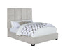 Panes Queen Tufted Upholstered Panel Bed Beige - All Brands Furniture (NJ)