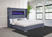 Tisdall California King, E.King & Queen Bed Grey, Black & Queen - All Brands Furniture (NJ)