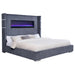Tisdall California King, E.King & Queen Bed Grey, Black & Queen - All Brands Furniture (NJ)