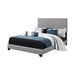 Boyd California King, King, & Queen Upholstered Bed with Nailhead Trim Charcoal & Grey - All Brands Furniture (NJ)