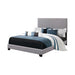 Boyd California King, King, & Queen Upholstered Bed with Nailhead Trim Charcoal & Grey - All Brands Furniture (NJ)