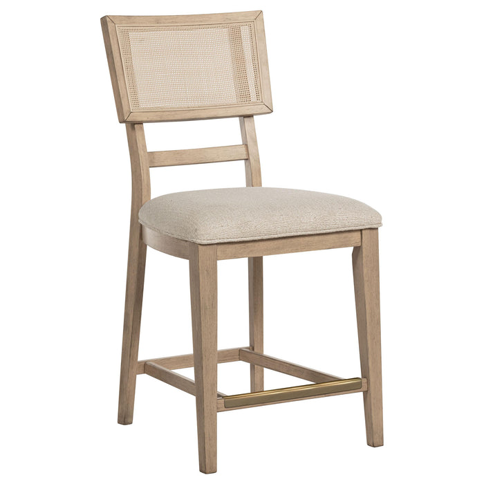 Kailani Counter Stool - All Brands Furniture (NJ)