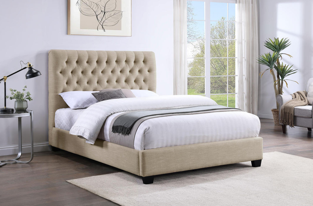 Chloe Queen Beds - All Brands Furniture (NJ)