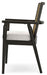 Galliden Dining Arm Chair - All Brands Furniture (NJ)
