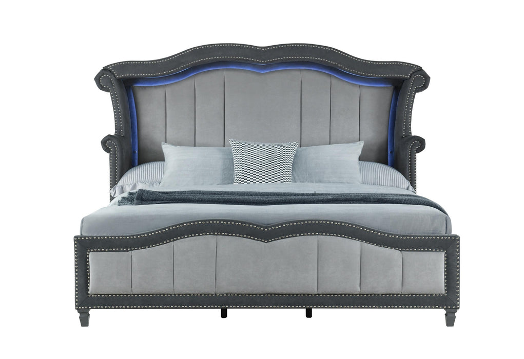 VANNA DARK GREY KING BED - All Brands Furniture (NJ)