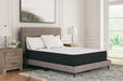 Limited Edition Plush Mattress - All Brands Furniture (NJ)