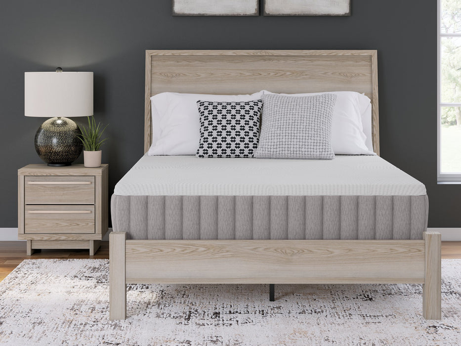 Terra Sleep Medium Mattress - All Brands Furniture (NJ)