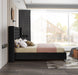 Aiden Black Velvet Queen Bed - All Brands Furniture (NJ)