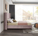 Aiden Pink Velvet Queen Bed - All Brands Furniture (NJ)