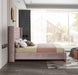 Barolo Pink Velvet Queen Bed - All Brands Furniture (NJ)