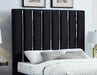 Enzo Black Velvet Queen Bed - All Brands Furniture (NJ)