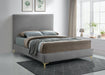 Geri Grey Velvet Queen Bed - All Brands Furniture (NJ)