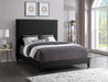 Harlie Black Velvet Queen Bed - All Brands Furniture (NJ)