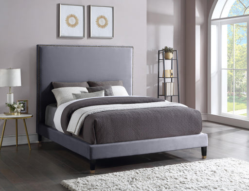 Harlie Grey Velvet King Bed - All Brands Furniture (NJ)
