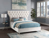 Kira Cream Velvet Queen Bed - All Brands Furniture (NJ)