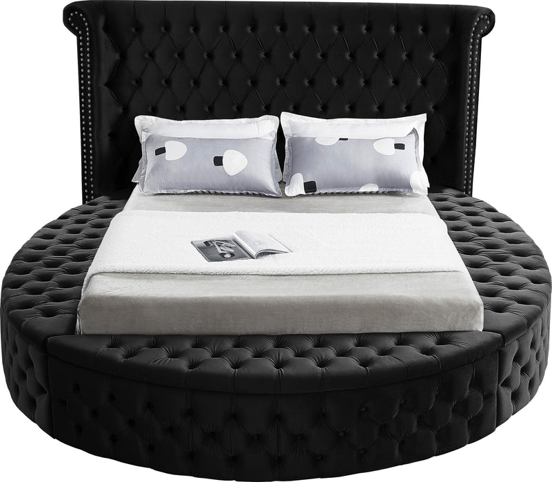 Luxus Black Velvet Queen Bed (3 Boxes) - All Brands Furniture (NJ)