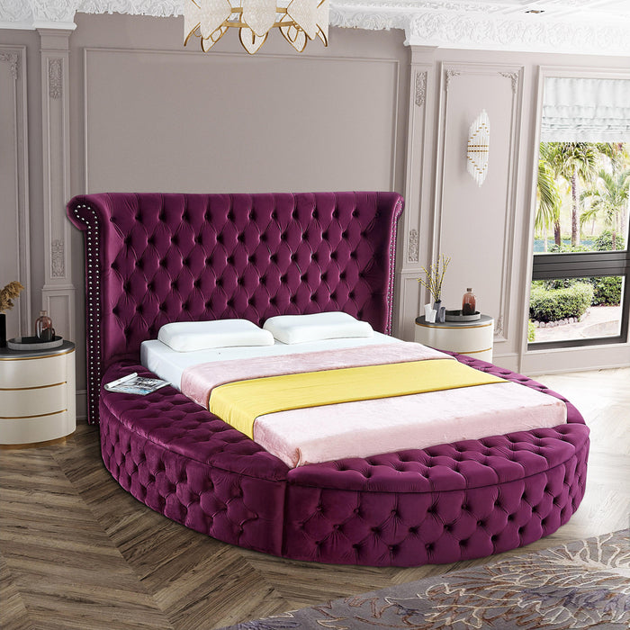 Luxus Purple Velvet Queen Bed - All Brands Furniture (NJ)