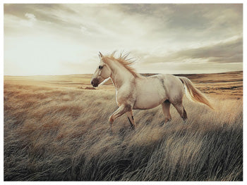 Errolville Wall Art - All Brands Furniture (NJ)