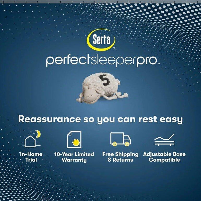 Serta Perfect Sleeper Pro Mattress Edinburgh Plush Pillow Top - All Brands Furniture (NJ)