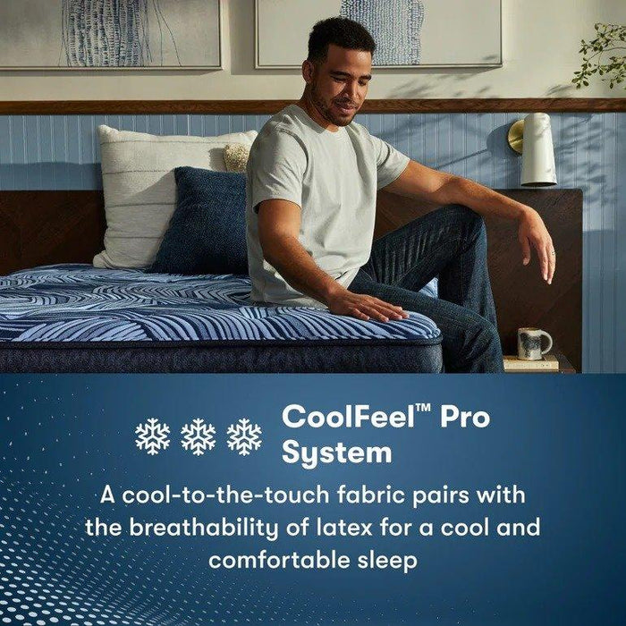 Serta Perfect Sleeper Pro Mattress Geneva Firm Tight Top - All Brands Furniture (NJ)