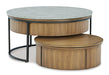Fridley Occasional Table Set - All Brands Furniture (NJ)