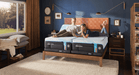 Tempur-Ergo Smart Base - All Brands Furniture (NJ)