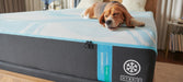 Tempur-Pedic LuxeBreeze Medium Hybrid Mattress - All Brands Furniture (NJ)