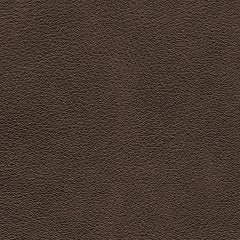 Crossplex Power Reclining Sofa - All Brands Furniture (NJ)