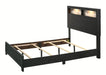 Crown Mark Furniture Cadence Queen Panel Bed in Black - All Brands Furniture (NJ)