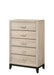 AKERSON CHEST DRIFT WOOD - All Brands Furniture (NJ)